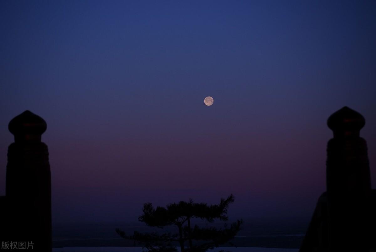 极夜意思解释是什么（极夜里的北欧是一种怎样的体验）