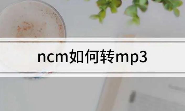 ncm在线转换mp3格式（ncm转mp3超简单教程）