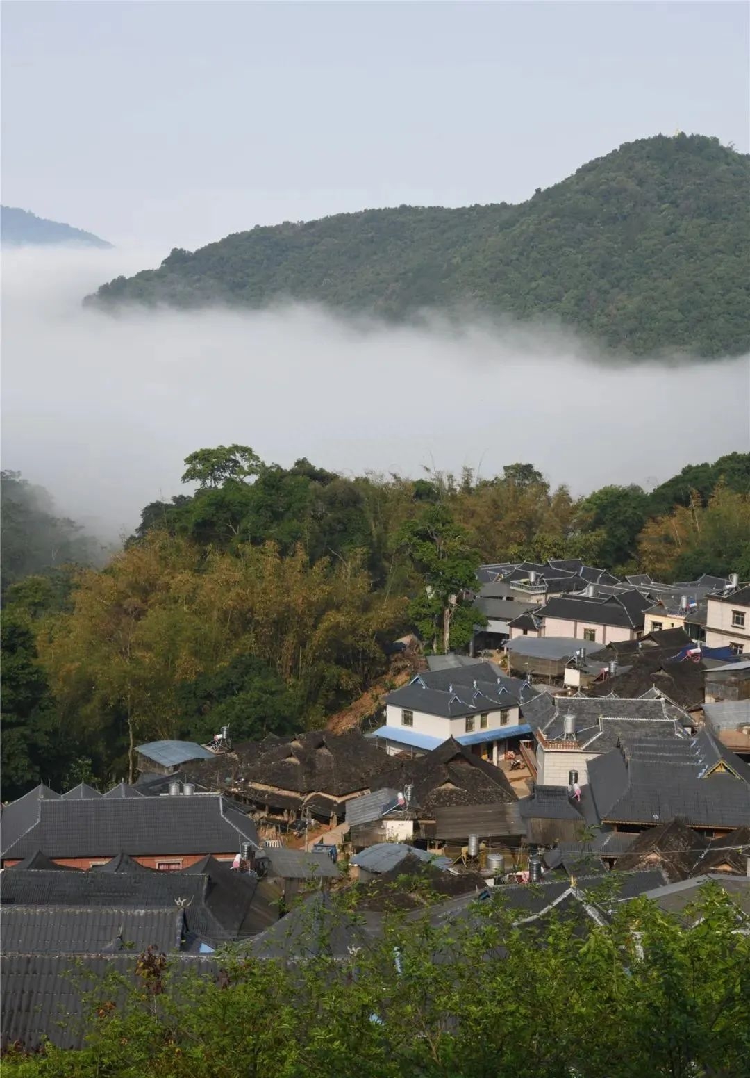 全国旅游景点（国内最清凉避暑地）