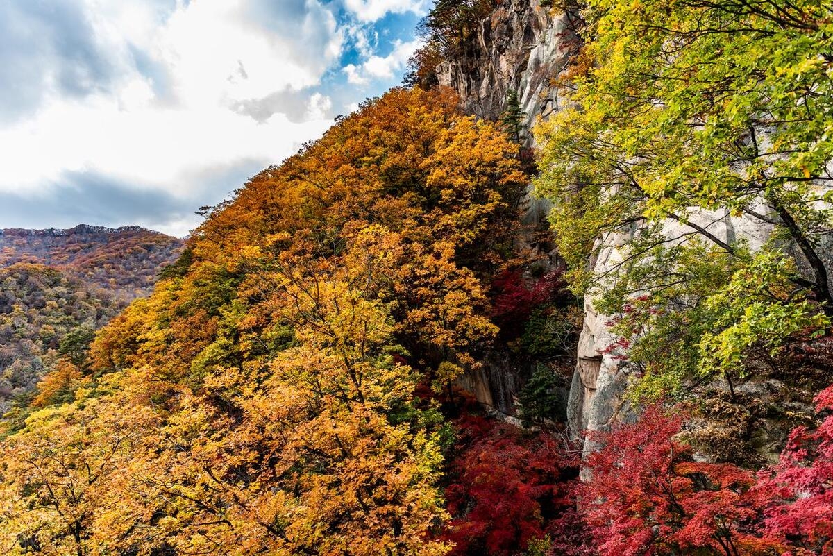 九月份最适合去哪里旅游(中国秋季旅游最佳地)