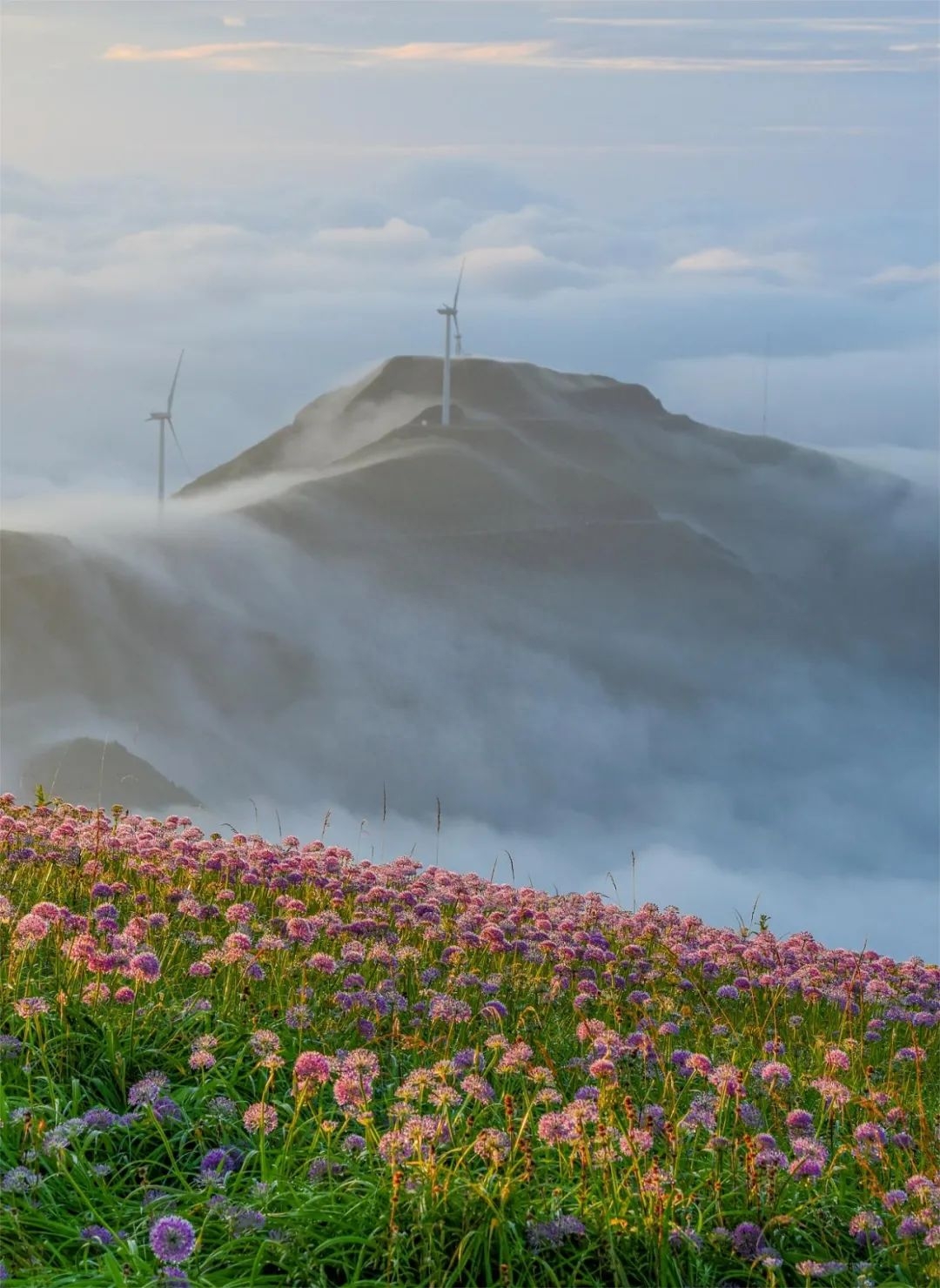 九月份最适合去哪里旅游(中国秋季旅游最佳地)