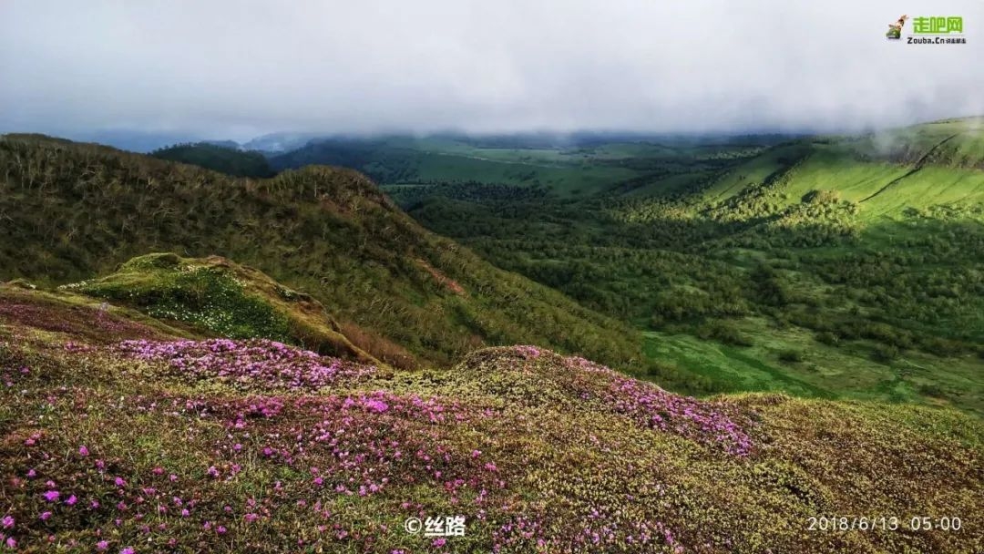 全国旅游景点（国内最清凉避暑地）