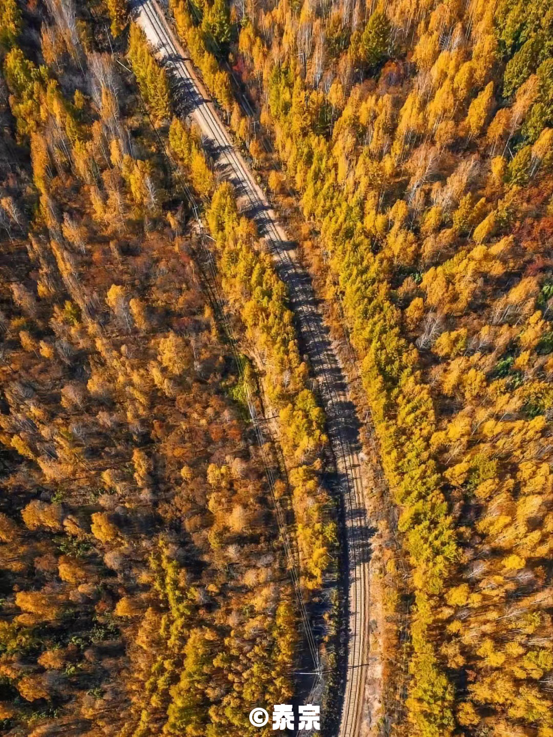 九月份最适合去哪里旅游(中国秋季旅游最佳地)