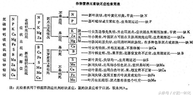 7种植物必需元素口诀（作物生长必需营养元素）"