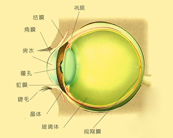 可见光波长范围的解析(人类对色彩的感知原理)