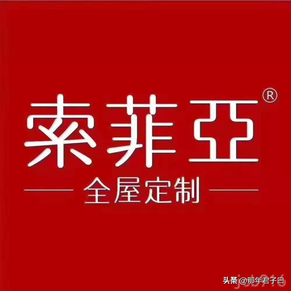 整体衣柜定制十大名牌(业内公认全屋定制的十大品牌)