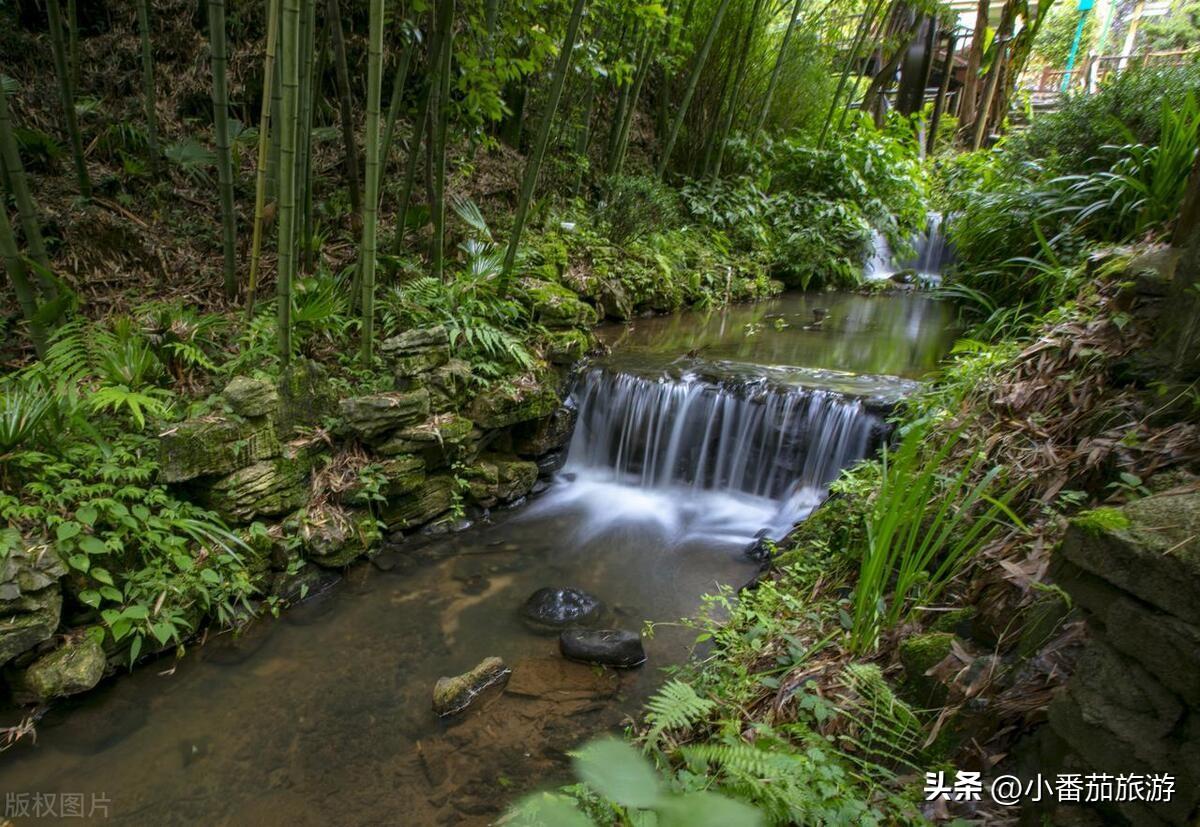 六盘水市旅游景点介绍(六盘水旅游攻略必玩的景点)