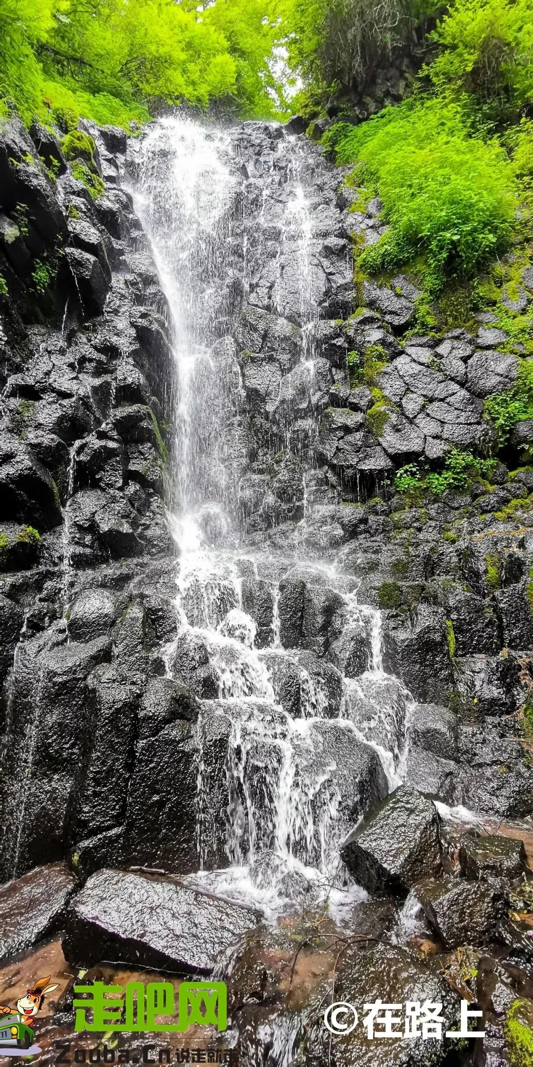 全国旅游景点（国内最清凉避暑地）