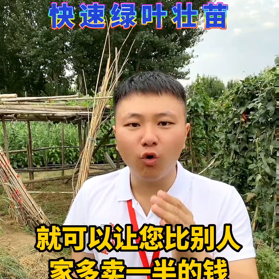 叶绿素的正确使用方法（农业种植小技巧分享）