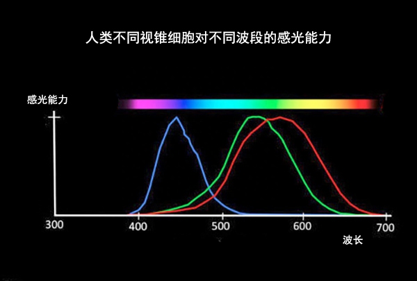 可见光波长范围的解析(人类对色彩的感知原理)