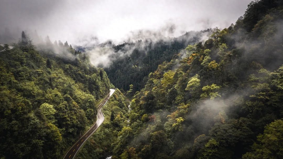 适合下雨天旅游景点（ 下雨天的瓦屋山美景分享）