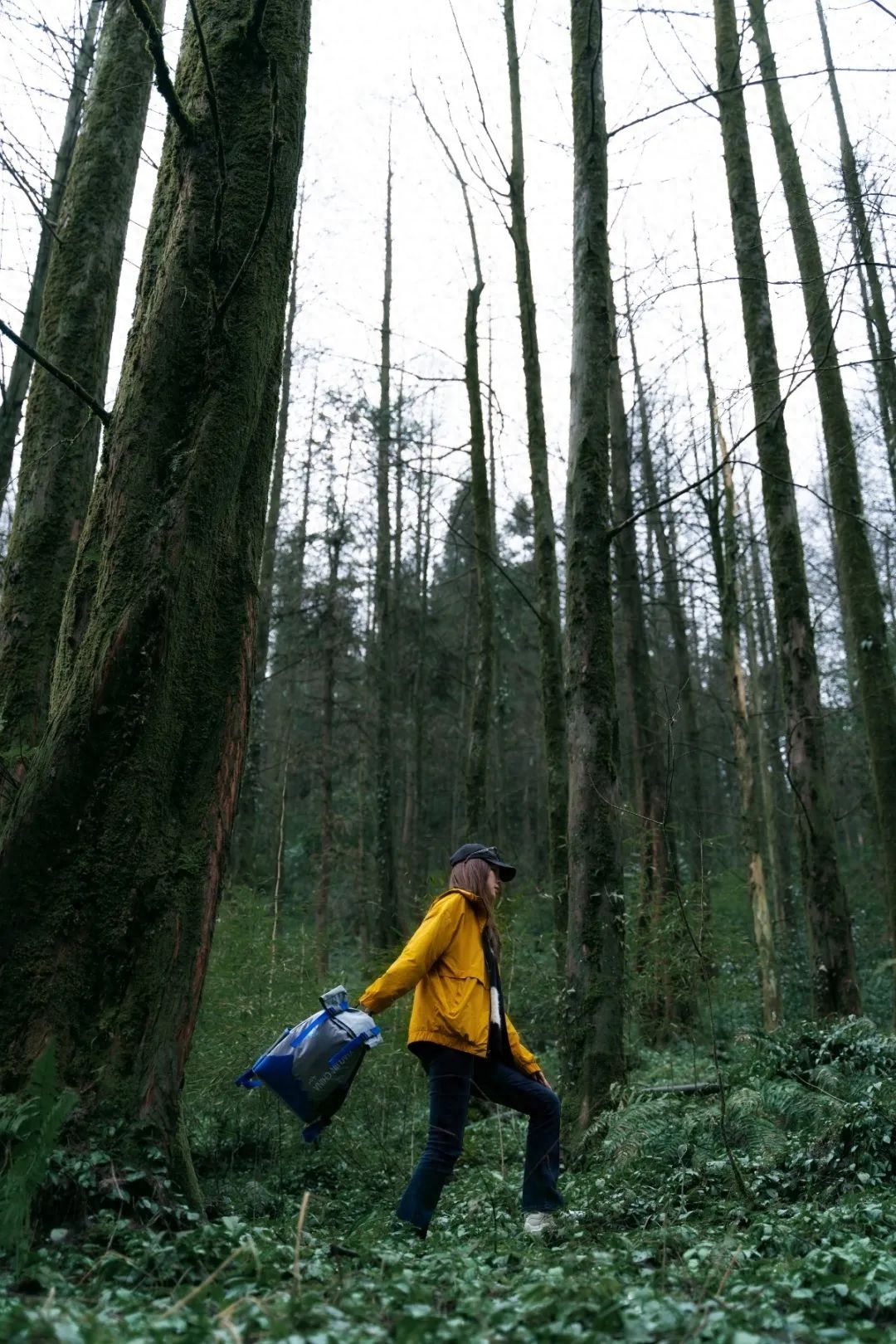 适合下雨天旅游景点（ 下雨天的瓦屋山美景分享）