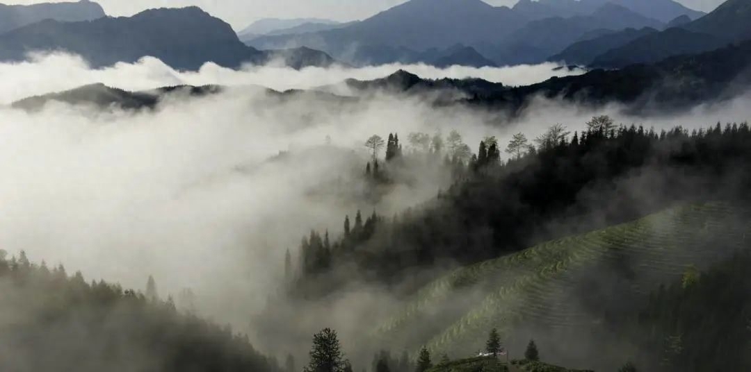 适合下雨天旅游景点（ 下雨天的瓦屋山美景分享）