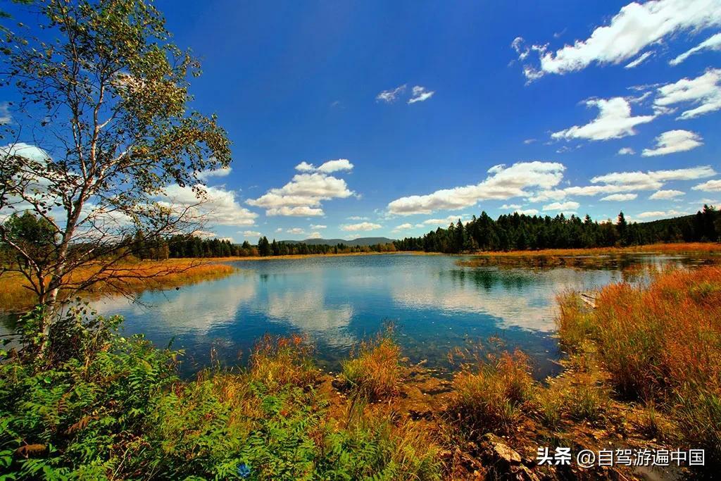 内蒙草原旅游哪里好（内蒙古最美十大风景区）