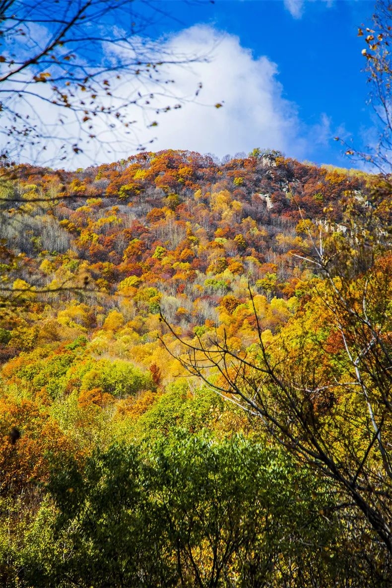 九月份最适合去哪里旅游(中国秋季旅游最佳地)