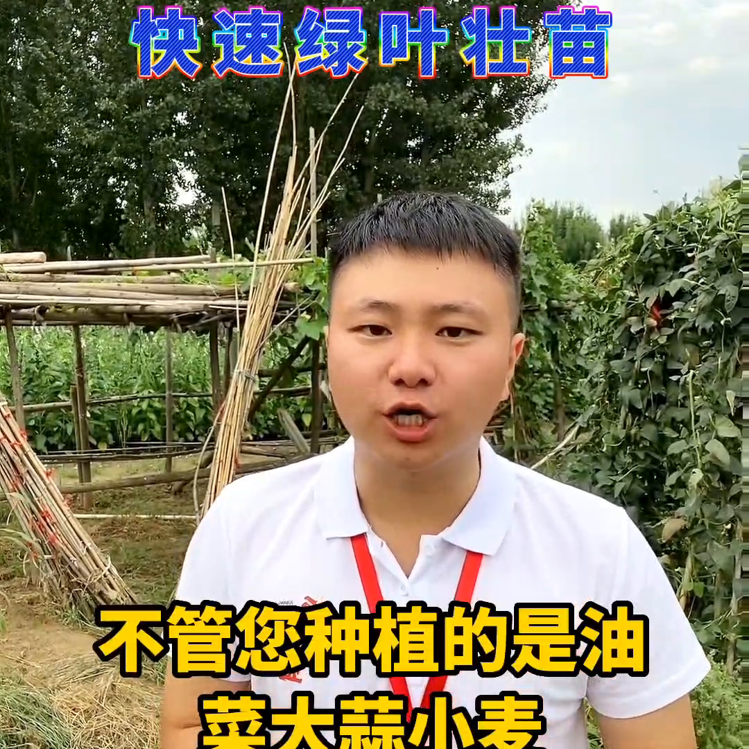 叶绿素的正确使用方法（农业种植小技巧分享）