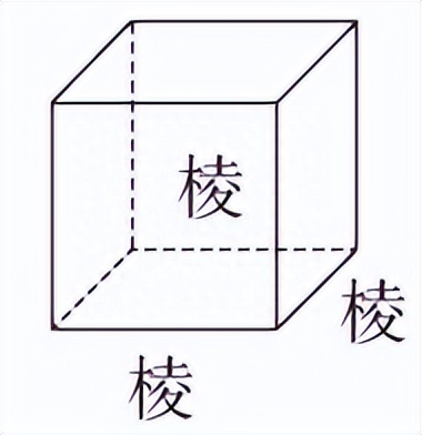 长方体的表面积和体积（长方体与正方体内容与重要公式回顾总结）