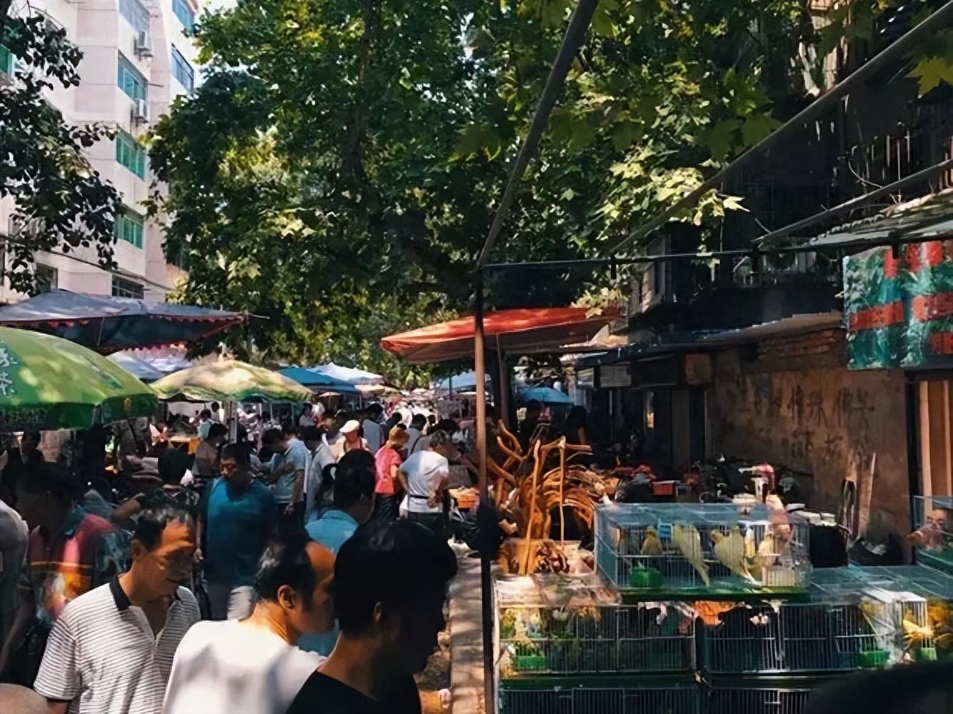 西安摆地摊最多的地方（西安的“个性”地摊集市）