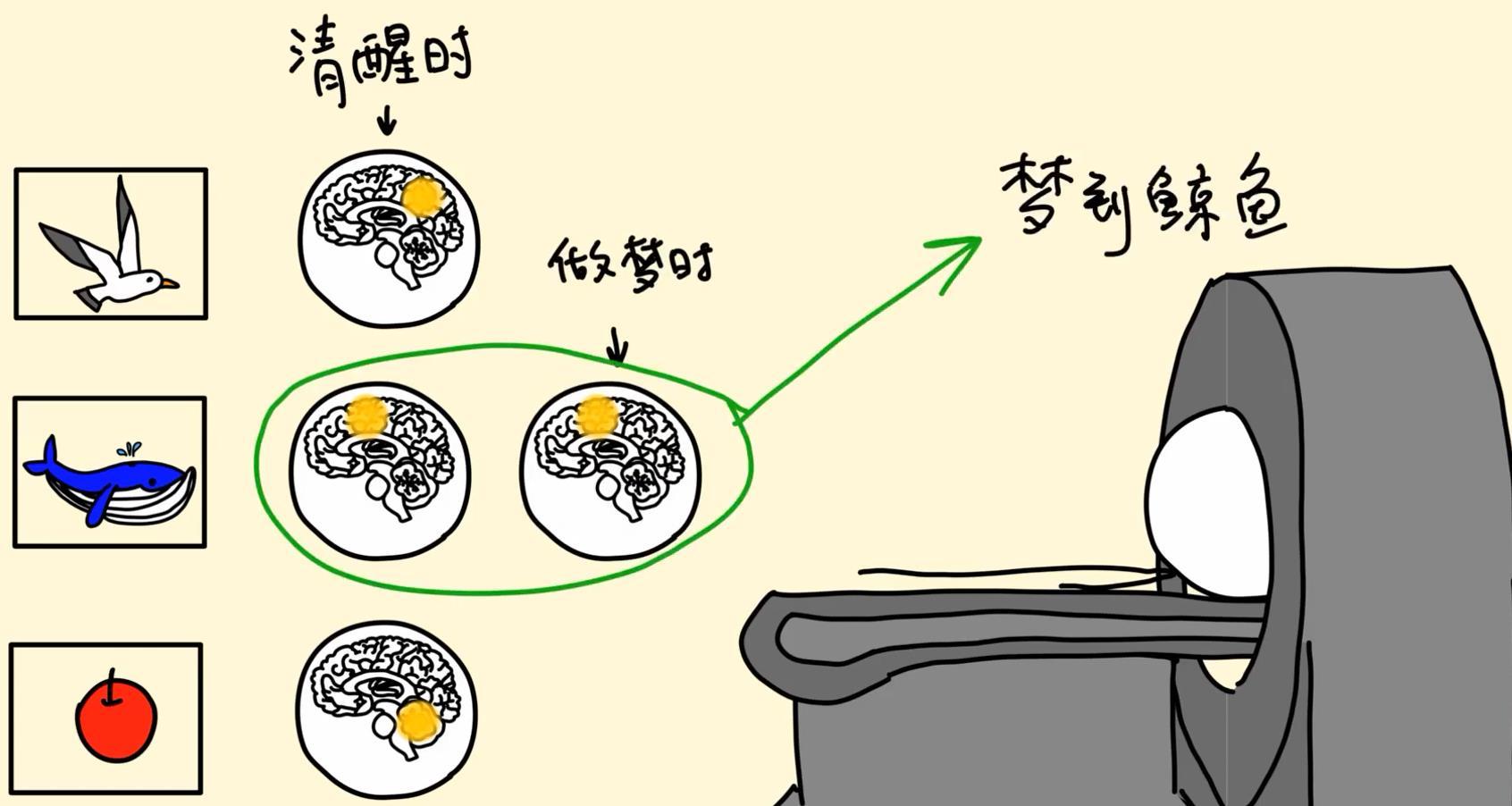 为什么会做梦科学解释（科学研究解释:人做梦的秘密）