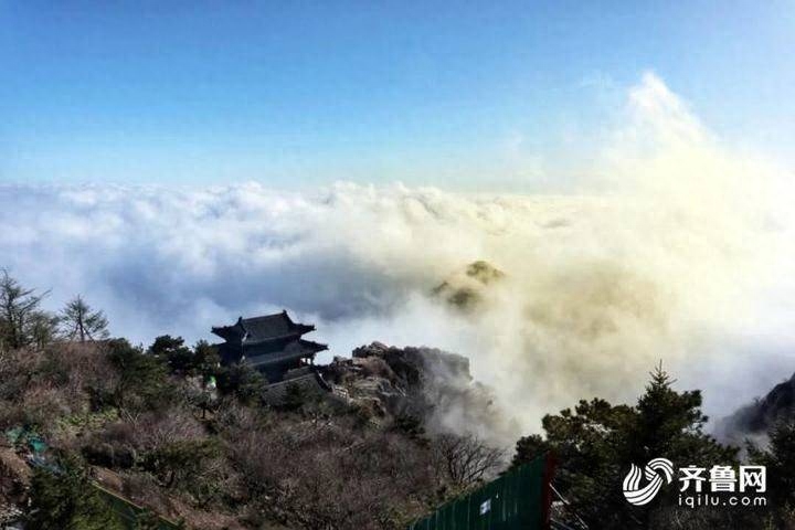 雨后的景物有哪些（雨后泰山之巅惊现四大奇观）