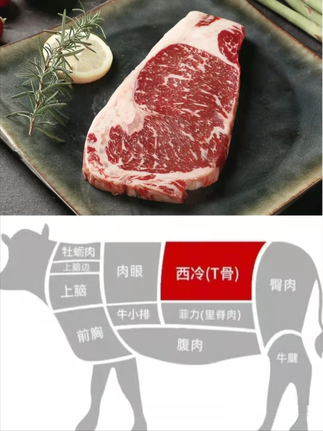 牛小排是牛的哪个部位（牛肉不同部位区别）