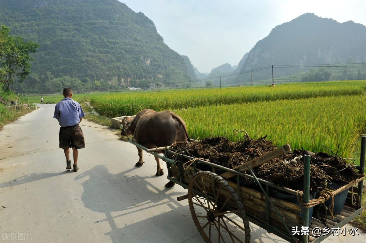 防治蛴螬最佳时间（分享6个独特方法，有效杀灭蛴螬）