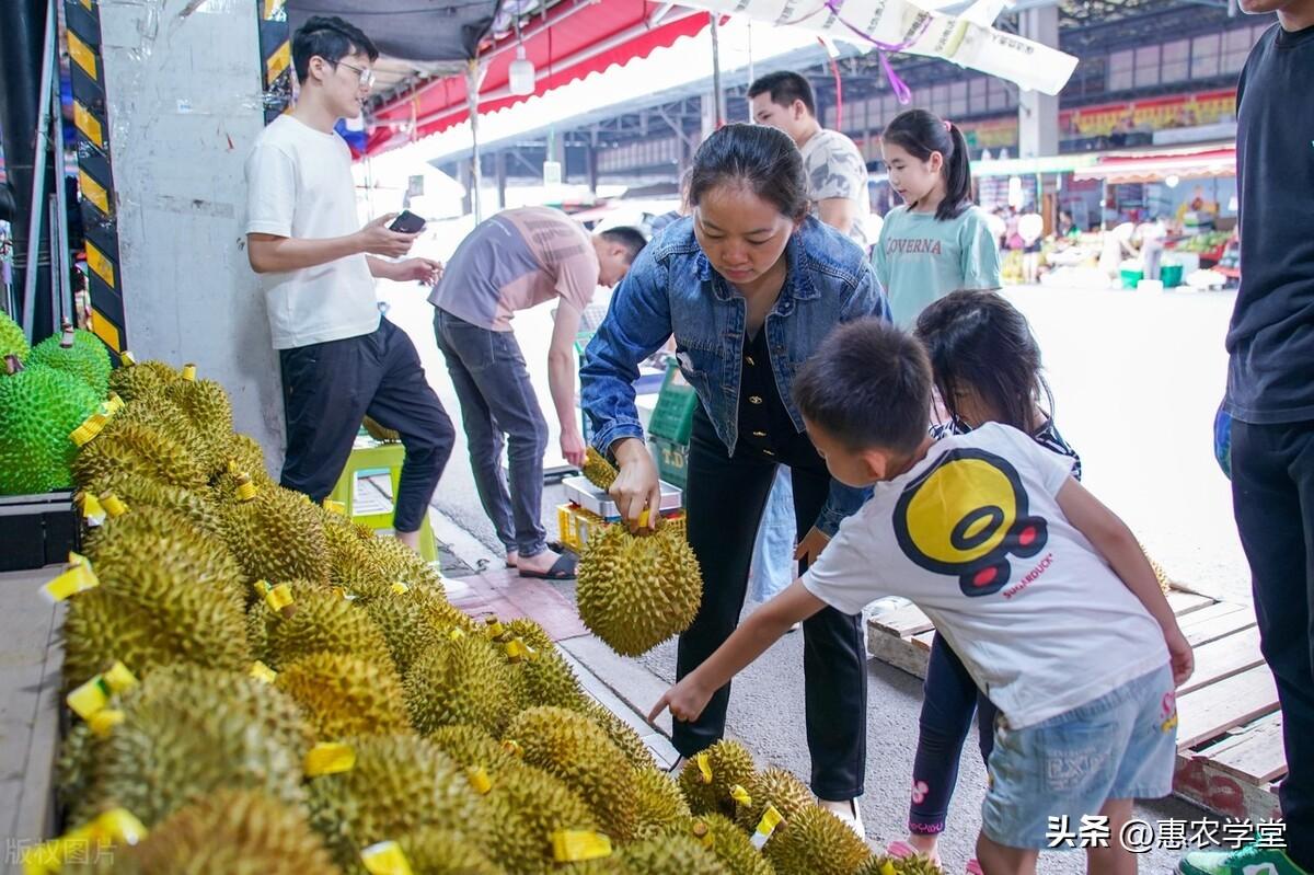 黑刺榴莲多少钱一斤（6月榴莲价格大盘点）