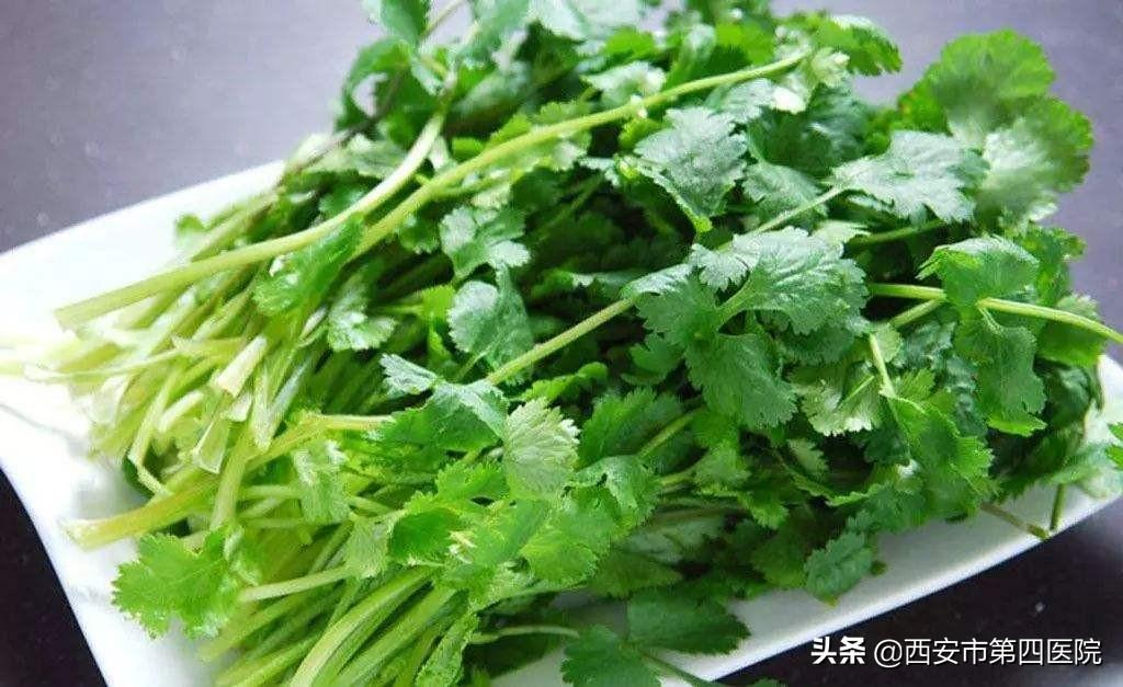 香菜的功效与作用（告诉你香菜5大功效）