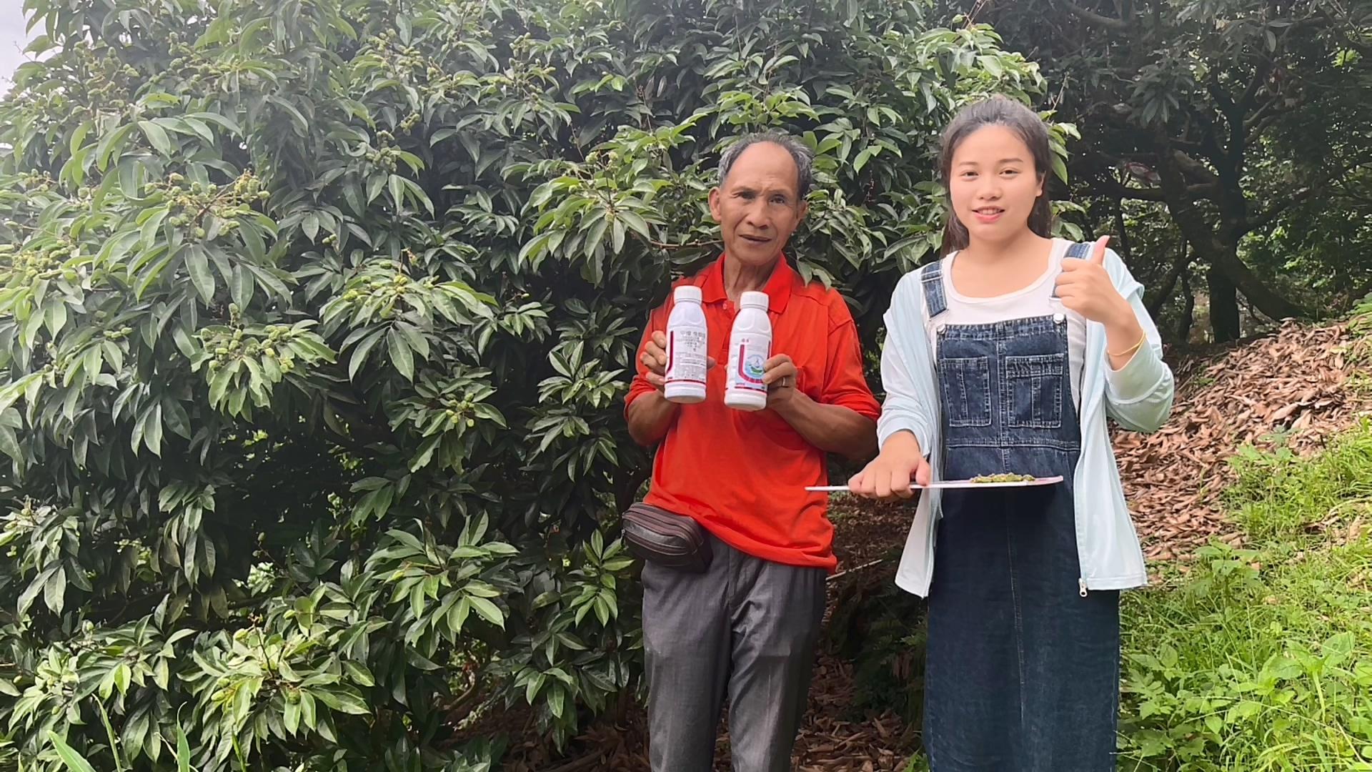 果树钻心虫特效药（防治果树钻蛀食心类害虫）