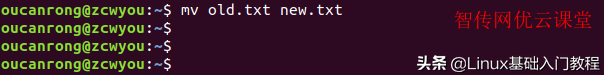 linux修改文件名（Linux文件重命名的命令正确的使用方法）