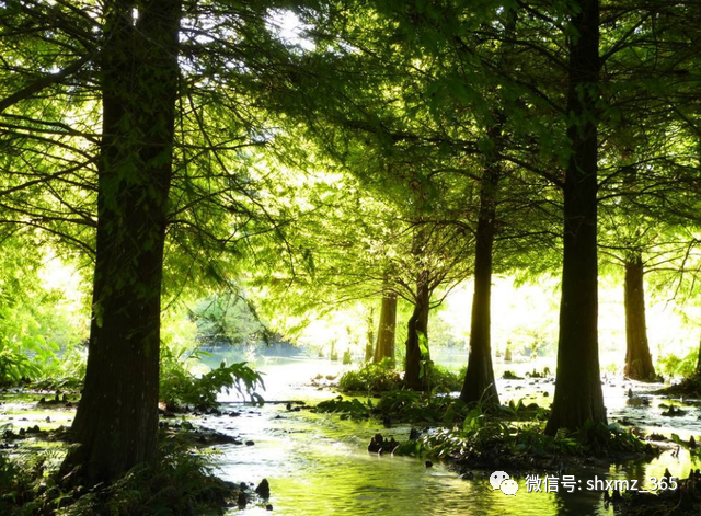 夏天太热了怎么降温（6个防暑降温小技巧让你清爽度夏）