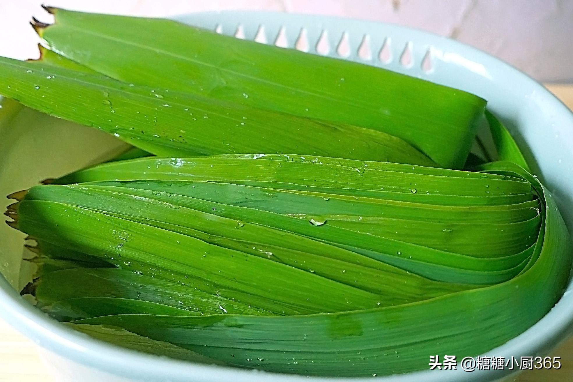 新鲜芦苇叶怎么保存到一年（这三种粽叶储存方法别错过）