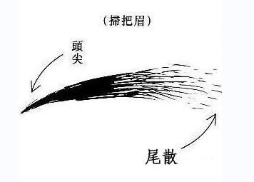 连心眉女人的命运会怎么样（从面相可以看运势的技巧）